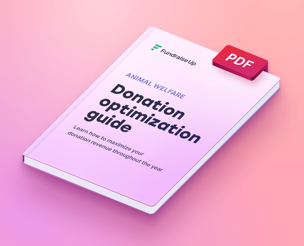 Increasing Recurring Donors and Donation Revenue